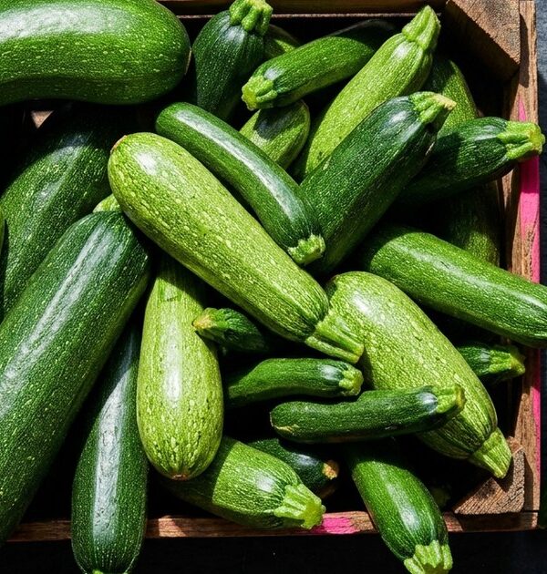 What to do with zucchini when you have way too much of it