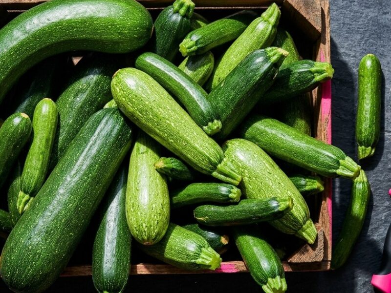 What to do with zucchini when you have way too much of it